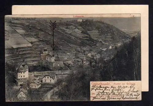 100967 Ansichtskarte Cossebaude Partie im Grunde Liebenecke 1908