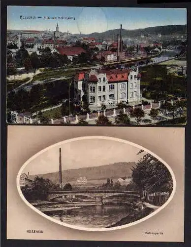 100411 2 Ansichtskarte Rosswein Blick vom Hasensprung Brücke über die Mulde um 1918