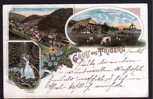 77750 AK Triberg im Schwarzwald Litho Bauernhaus 1897