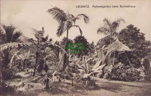 170305 AK Liegnitz Legnica Palmengarten beim Schießhaus 1912