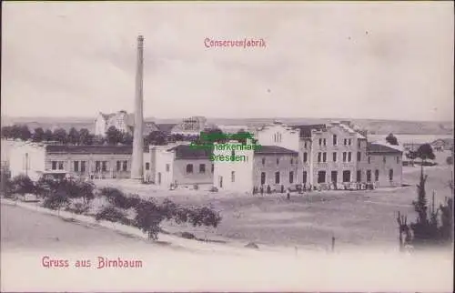 161319 Ansichtskarte Gruss aus Birnbaum Miedzychod Conservenfabrik 1909