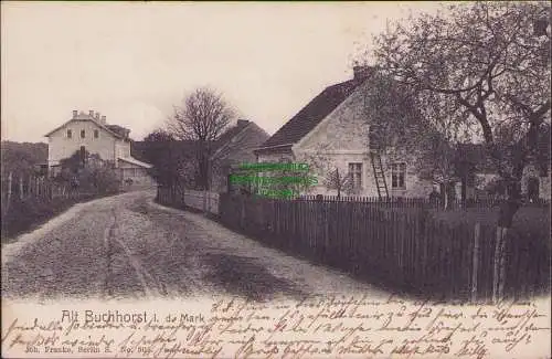 157573 AK Alt Buchhorst in der Mark 1903 Dorfstraße