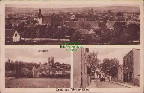 157495 AK Rieder Harz Ballenstedt 1930 Panorama Roseburg Straße