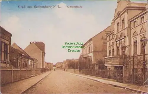 157700 Ansichtskarte Senftenberg N.-L. 1915 Moritzstraße