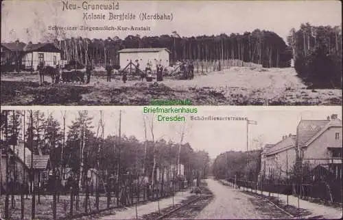 157199 AK Neu Grunewald Kolonie Bergfelde Nordbahn 1908 Schweizer Ziegenmilch