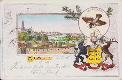 154912 Ansichtskarte Ulm a. D. 1902 Litho Wappen Ulmer Spatz