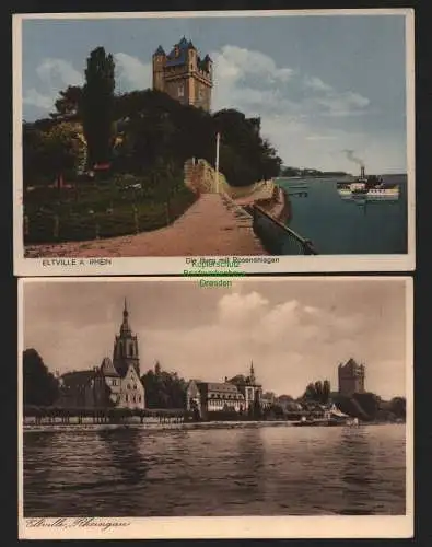 149957 2 AK Eltville am Rhein 1934 Burg mit Rosenanlagen