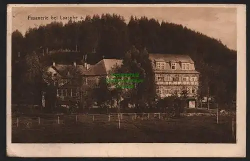 149969 Ansichtskarte Bad Laasphe Hotel Fasanerie 1925