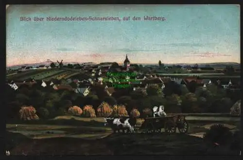 148712 AK Niederndodeleben Schnarsleben um 1910 auf dem Wartberg