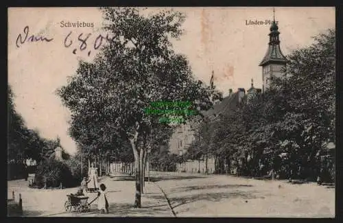 148052 Ansichtskarte Swiebodzin Schwiebus 1906 Linden Platz