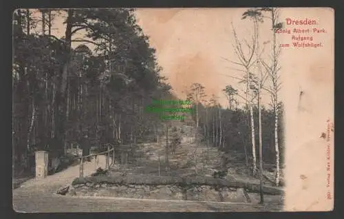 144911 AK Dresden König Albert Park Aufgang z. Wolfshügel um 1905 Dresdner Heide