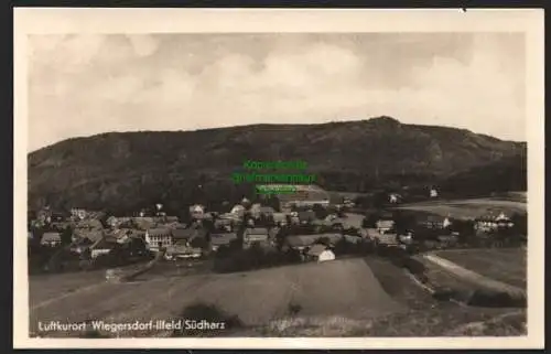 144499 Ansichtskarte Wiegersdorf-Illfeld Südharz Fotokarte 1954