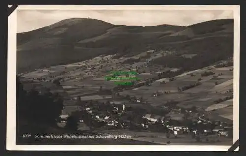 144349 Ansichtskarte Wilhelmsthal mit Schneeberg Grafschaft Glatz 1931 Fotokarte Panorama