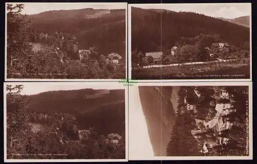 172554 4 AK  Wald Bärenburg um 1930 Schäfermühle Waldhaus Panorama