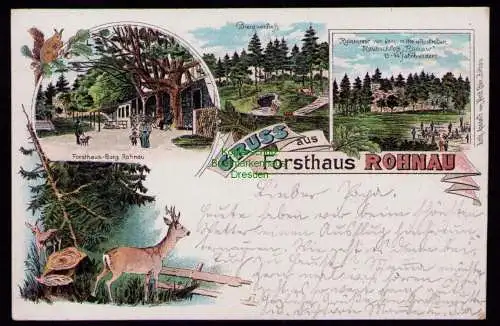 172341 AK  Rohnau 1903 Litho Forsthaus Burg Burgverließ Ruinenrest