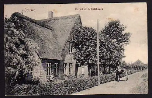 53577 Ansichtskarte Uetersen Ütersen Marschhof i. Katzhagen 1913