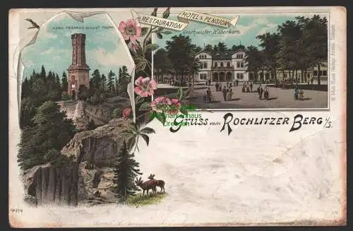 154146 AK Rochlitzer Berg Litho 1897 Restauration Hotel Pension Haberkorn