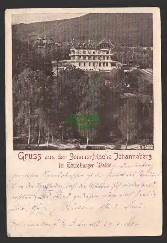 149180 Ansichtskarte Johannaberg 1901 im Teutoburger Wald Berlebeck Sanatorium