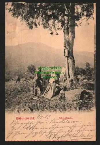 143611 Ansichtskarte Böhmerwald 1903 Arber Ansicht Stempel Arber Schutzhaus