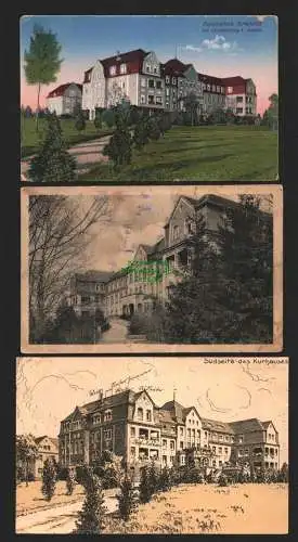 143667 3 Ansichtskarte Greiffenberg Schl. Birkenhof Sanatorium um 1920 1930