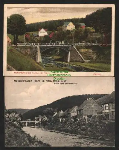 143243 2 Ansichtskarte Tanne im Harz Brücke Jägerborn Blick vom Schenkental um 1910