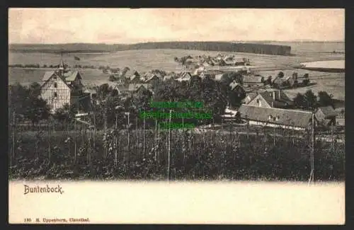 142970 AK Buntenbock im Harz Clausthal-Zellerfeld um 1900