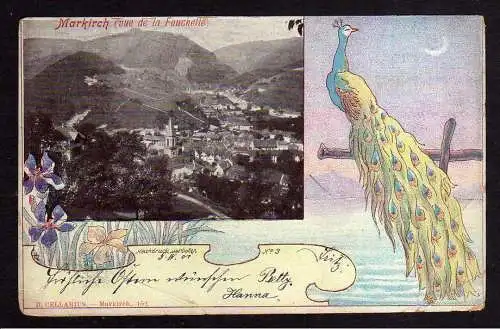 102980 AK Sainte-Marie-aux-Mines Markirch 1901 Pfau Jugendstil Litho