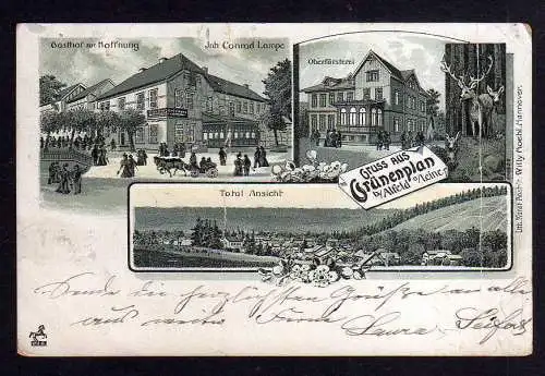 99263 AK Grünenplan b Alfeld Leine Litho 1903 Gasthof zur Hoffnung Oberförsterei