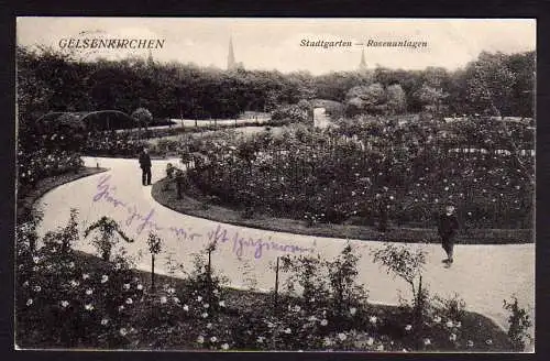 28499 AK Gelsenkirchen Stadtgarten Rosenanlagen Rose