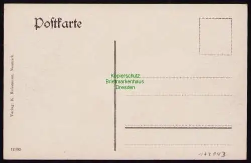 172043 AK Neumark Vogtland um 1910 Panorama mit Kirche