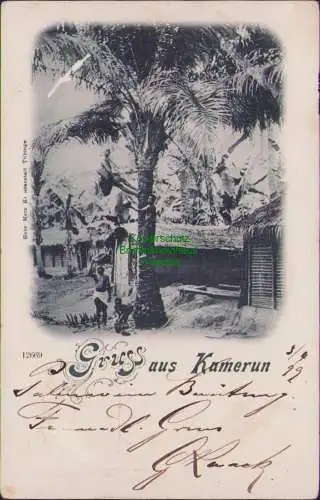 158292 Ansichtskarte Gruss aus Kamerun 1899 Deutsche Seepost Linie Hamburg Westafrika