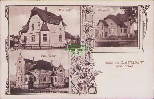 158118 Ansichtskarte Albrechtice Olbersdorf 1925 Österreichisch-Schlesien Villa Platt Diana