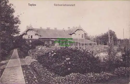 156960 AK Gwardeisk Tapiau 1914 Gärtnerlehranstalt