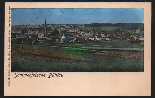 149558 AK Dresden Bühlau Sommerfrische um 1905