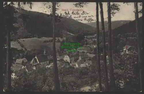 149170 AK Bad Teinach Baden-Württemberg 1918 Bahnpost