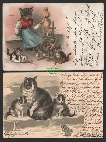 149111 2 AK Künstlerkarte Litho Katzen vermenschlicht 1900 1901 geprägt