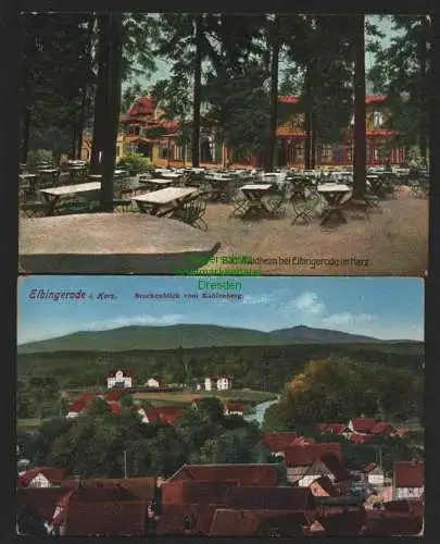 143244 2 AK Elbingerode Harz Brockenblick vom Kahlenberg Bad Waldheim Gasthaus