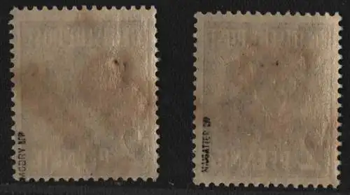 h6265 SBZ Handstempel Bezirk 36 Bornim 2x 2 Pfg ** postfrisch gepr. BPP