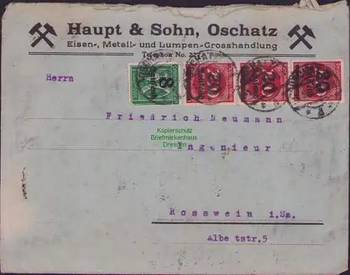 B16779 Brief mit 39 Marken Oschatz Haupt & Sohn nach Roßwein rückseitig 35x 200