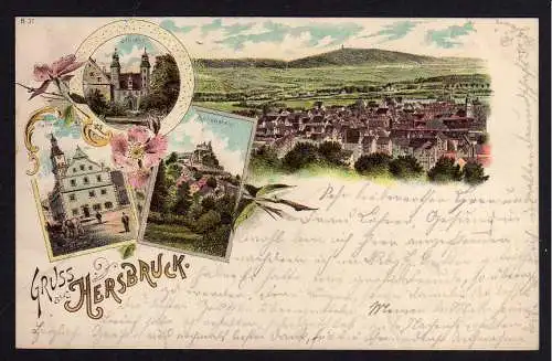 74832 Ansichtskarte Hersbruck Litho 1898 Rathaus Hohenstin Schloss