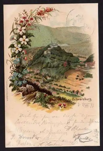 35711 Litho Schwarzburg 1897 Blumen Bahnpost Arnstadt