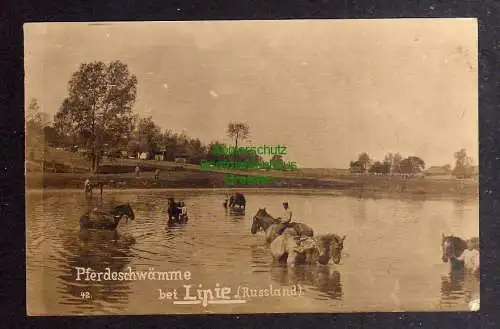 126663 AK Lipie Russland um 1918 Fotokarte Pferdeschwämme Militär Soldaten