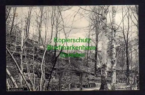 119532 AK Jägertal um 1925