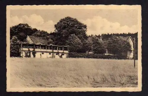 103082 AK Stukenberg Herne Stuckenberg Waldwirtschaft Steinmeyer