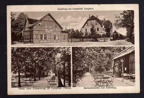 103064 AK Gasthaus Eckertal Eckerkrug Kuranstalt Jungborn 1924 Bahnpost