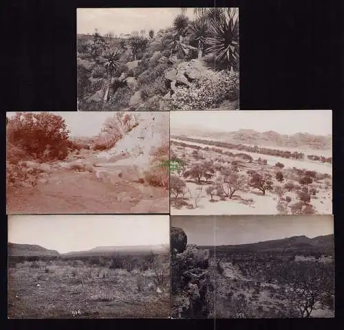 166144 5 AK DSW Deutsch Südwestafrika um 1910 Fotokarten Landschaften im