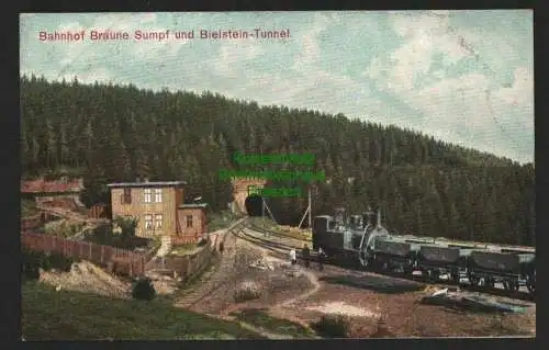 140284 Ansichtskarte Blankenburg Harz Bahnhof Braune Sumpf und Bielstein-Tunnel um 1900