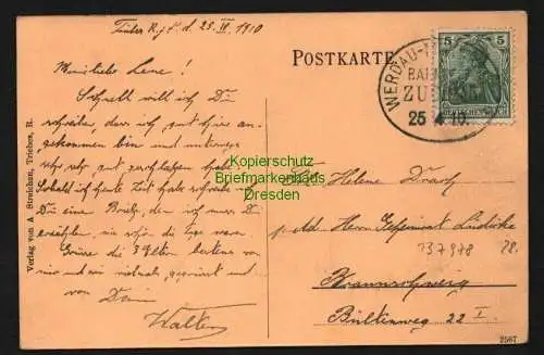 137978 AK Triebes 1910 Bad Bahnpost Werdau - Mehltheuer