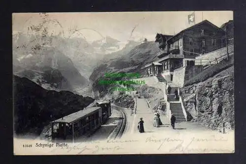 132645 AK Schynige Platte Bahnhof Haltestelle am Hotel Bellevue 1905