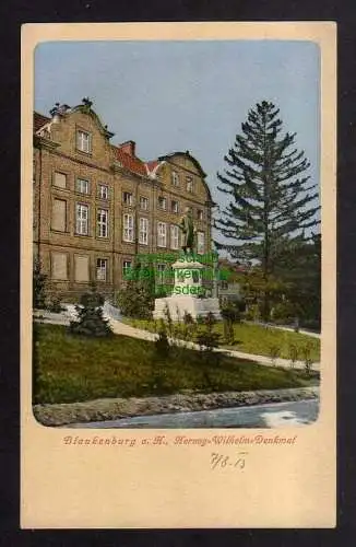 131533 AK Blankenburg Harz Herzog Wilhelm Denkmal  1915